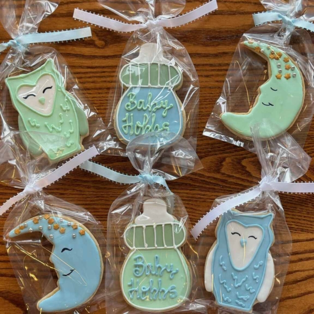 moon, baby bottle iced cookies sugar owls